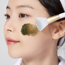 Load image into Gallery viewer, Dr. Hedison Real Mugwort Heating Clay Pack (265g)