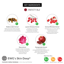 Load image into Gallery viewer, ECLAT FROSTY [Red] Peel-off Facial Mask Jelly Type
